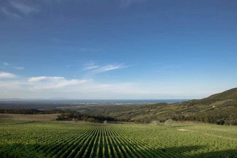 “CacciaAlVino” alla Tenuta Prima Pietra sulla costa toscana