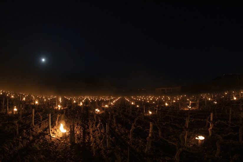 Candele accese contro il gelo a Tenuta di Trinoro (ph: Enea Barbieri)