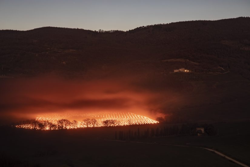 Candele accese contro il gelo a Tenuta di Trinoro (ph: Enea Barbieri)