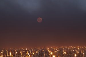 Spring frost scares the countryside and vineyards of Italy and France