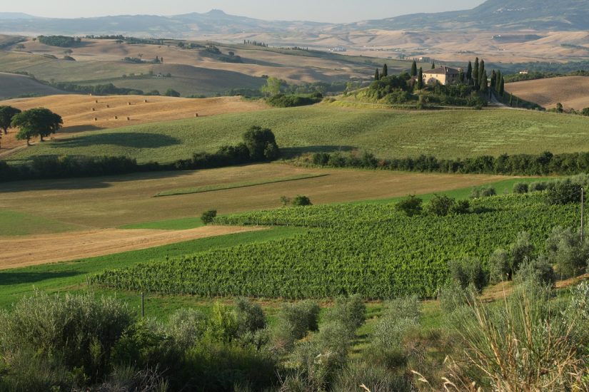 L’“Orcia Wine Festival” nella Val d’Orcia Patrimonio Unesco