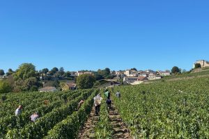 Alla scoperta dell’annata 2022 di Bordeaux: un “prologo” climatico e meteorologico