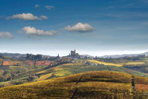 Il Vigneto Italia vale 56,5 miliardi di euro, per un corrispettivo a ettaro di 84.000 euro