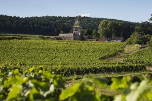 Borgogna, export record nel 2022, a quota 1,5 miliardi di euro (+12,9% sul 2021)