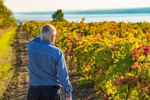 Il vino come ambasciatore di pace: la rinascita dell’Ucraina passa anche dall’enoturismo