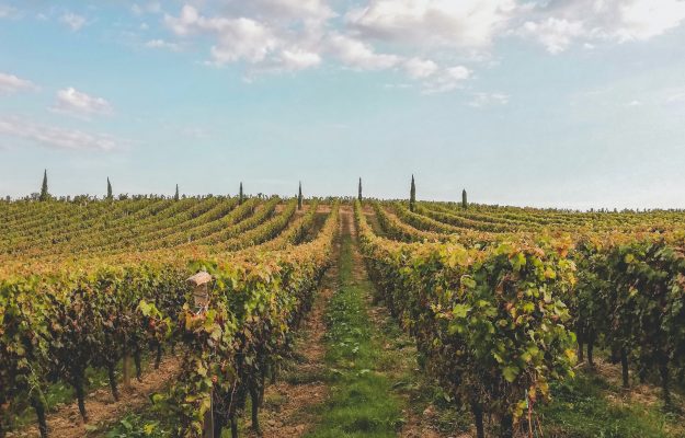 Bordeaux, ESPIANTI, FLAVESCENZA DORATA, vino, Mondo