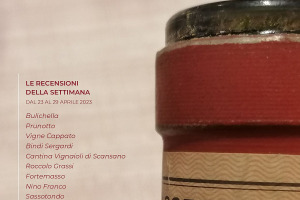 I Vini di WineNews - N. 255