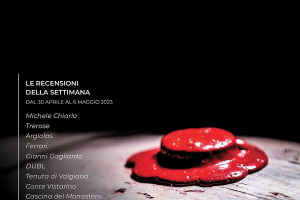 I Vini di WineNews - N. 256