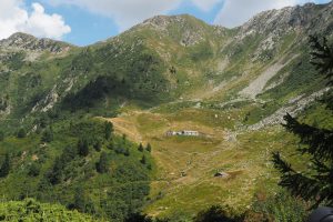 Una famiglia di pastori delle Alpi ed il Fai si aggiudicano il &ldquo;Premio Francesco Arrigoni 2023&rdquo;