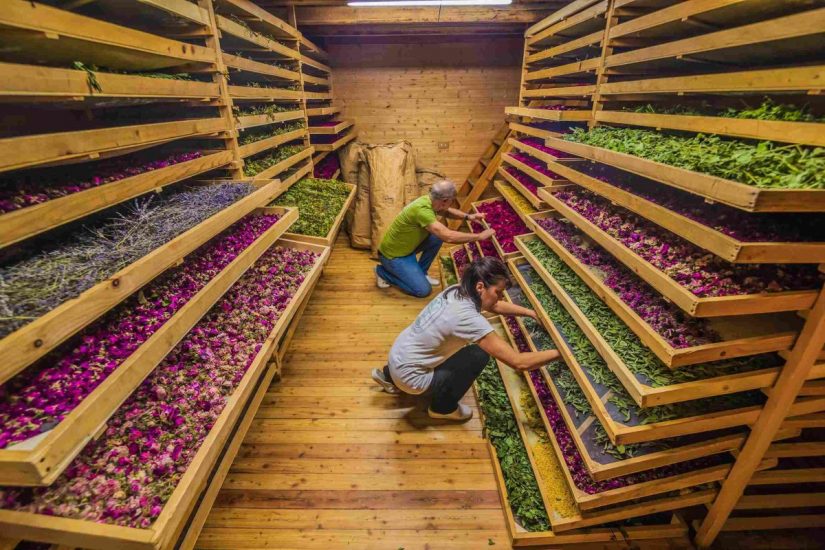 “Le erbe del casaro” nell’Altobrembo, a Brescia