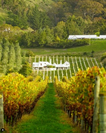 Hawke’s Bay: oceano, vigneti e Art Decò (ph: hawkesbaynz.com)