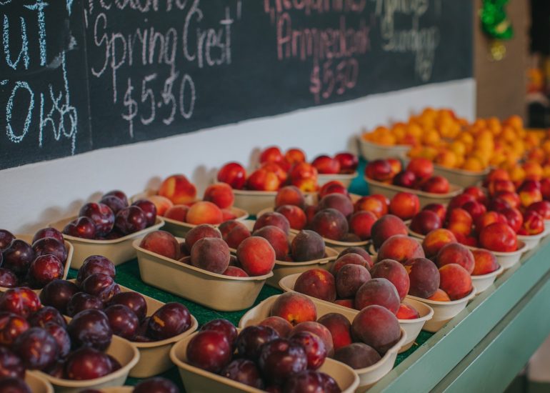 Hawke’s Bay: oceano, vigneti e Art Decò (ph: hawkesbaynz.com)