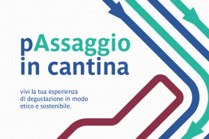 Nelle vigne con il bus: nasce “(p)Assaggio in cantina”, idea Mtv Toscana e Autolinee Toscane 