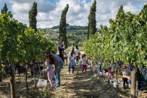 Nacque nel 1993 l’embrione dell’enoturismo: compie 30 anni il Movimento Turismo del Vino