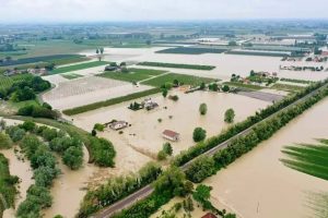 Emilia Romagna and Marche, between underwater vineyards and the threat of downy mildew