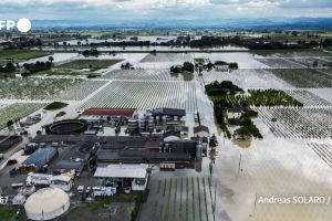 Maltempo in Emilia, Coldiretti: a rischio almeno 50.000 posti di lavoro nelle campagne