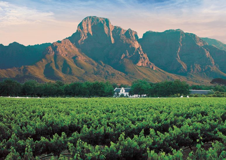Boschendal, in Sud Africa