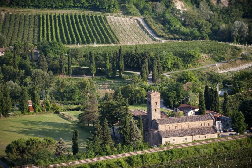 La Romagna del vino