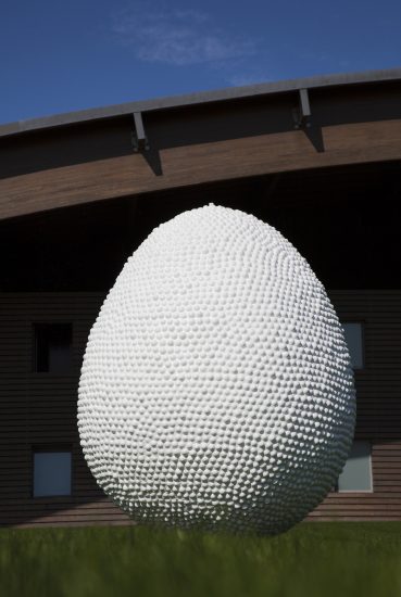 Egg Concept - Spirito Costa 