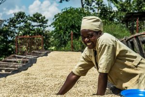 Fairtrade, una “Grande Sfida per il Clima” per supportare gli agricoltori del Sud del mondo