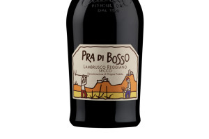 Casali Viticultori, Dop Lambrusco Reggiano Secco Pra di Bosso 2022