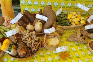 Coldiretti: Giornata della Biodiversità, 25 milioni di italiani fanno la spesa dai contadini