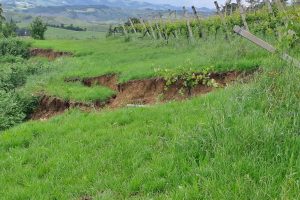 Frane e smottamenti, l’alluvione colpisce anche i vigneti e le cantine dei Colli Bolognesi