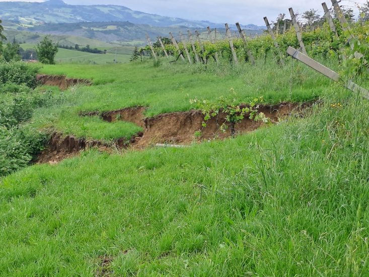 I danni delle alluvioni sui vigneti dei Vini Bolognesi