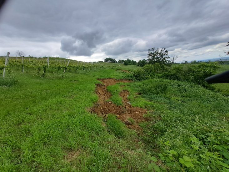 I danni delle alluvioni sui vigneti dei Vini Bolognesi