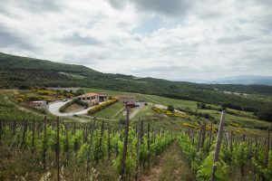 Duemani, l’azienda della Costa Toscana di Luca D’Attoma, passa a Tenute del Leone Alato