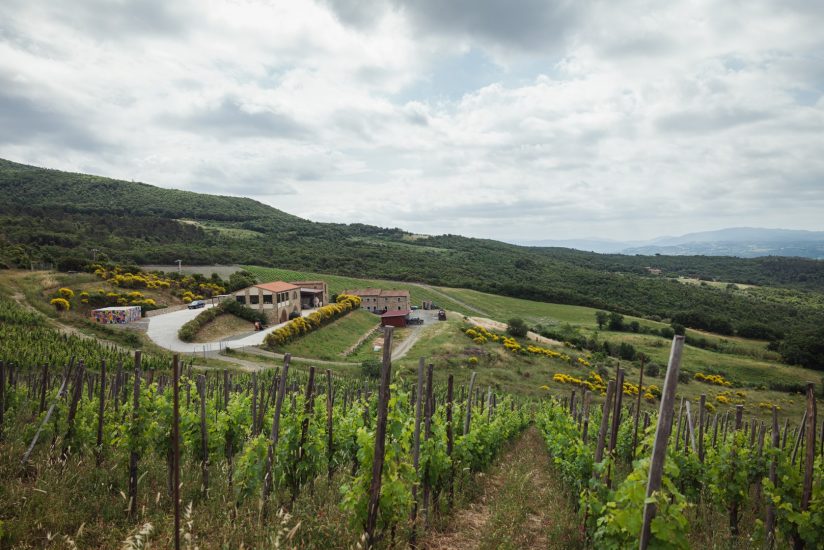 La cantina di Duemani