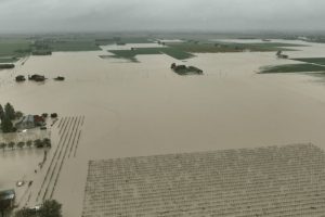 La pioggia mette in ginocchio l’Emilia Romagna, dalla viabilità all’agricoltura