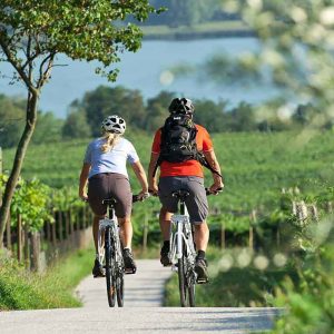 Vinitaly Tourism, wine tourism confirms itself the key leverage for the future of Italian wine