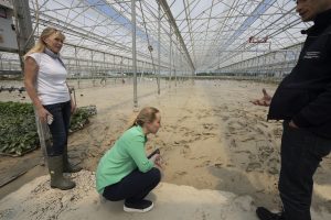 Emilia-Romagna: i danni all’agricoltura sono enormi. Per l’immediato, e per il futuro