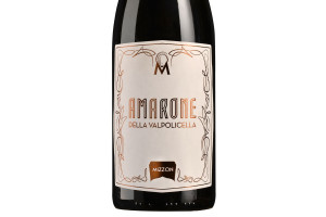 Mizzon, Docg Amarone della Valpolicella 2016