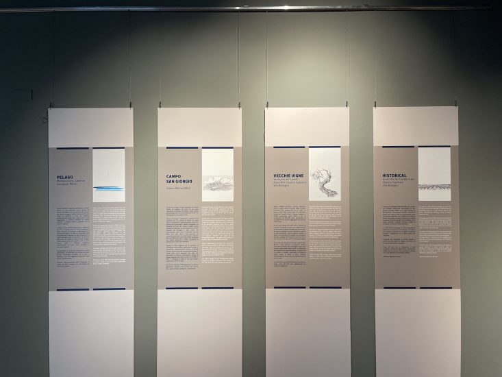 La mostra “Paesaggi d’artista e Vini d’autore”