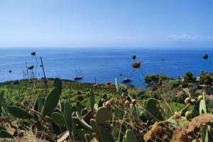 La nuova frontiera della Sicilia del vino