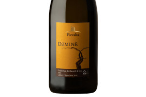 Pievalta, Doc Castelli di Jesi Classico Superiore Dominè 2020