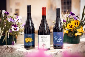 Sono Girlan, Elena Walch e Erste+Neue la “Top 3” del Concorso Nazionale del Pinot Nero