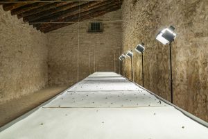 L’idea di Planeta: un nuovo spazio per l’arte, in Sicilia, per riflettere sul cambiamento climatico