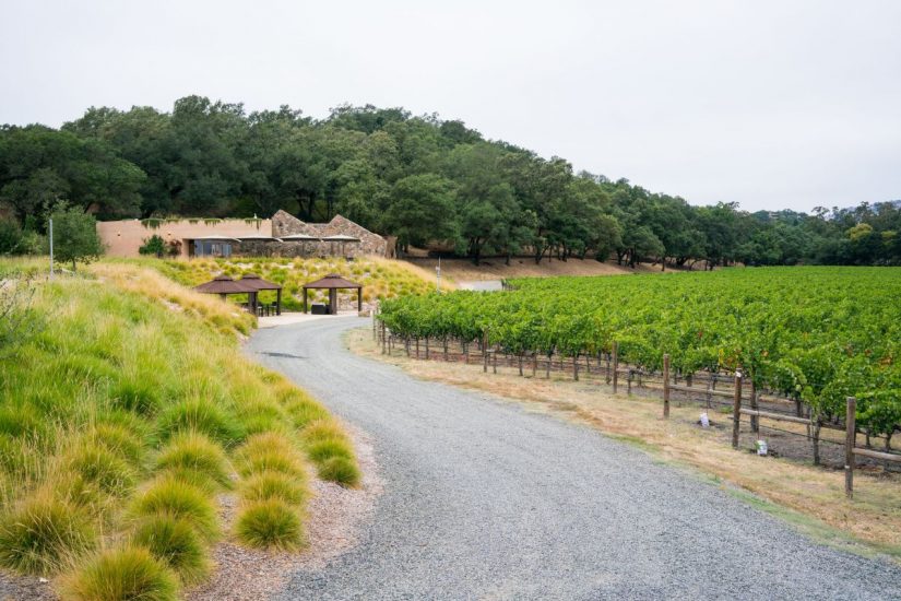 Stag’s Leap Wine Cellars tra i vigneti della Napa Valley