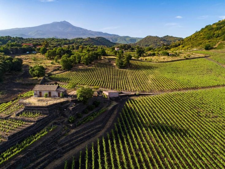 Sicilia, Etna - Cantina con vigne e vulcano