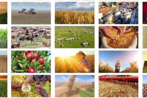 2023, sentiment positivo per i produttori di vino e cibo a denominazione del mondo