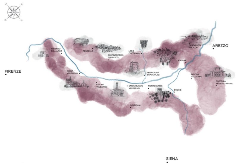 Bio e “vigna”: il futuro del Valdarno di Sopra Doc