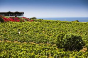 La Sicilia del vino punta sull’enoturismo di alto livello, all’insegna dell’“autenticità”