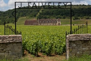 Nel 2022 in Francia sono passati di mano 18.400 ettari vitati, per un valore di 1 miliardo di euro