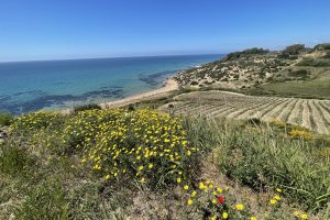 La magia della Sicilia nel viaggio WineNews, dove partiamo dall’acqua per raccontare il vino