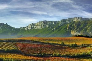 La Fev chiede al Governo spagnolo che il vino sia una priorit&agrave; del Semestre Ue