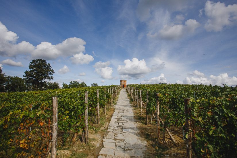 I vigneti di Villa Saletta