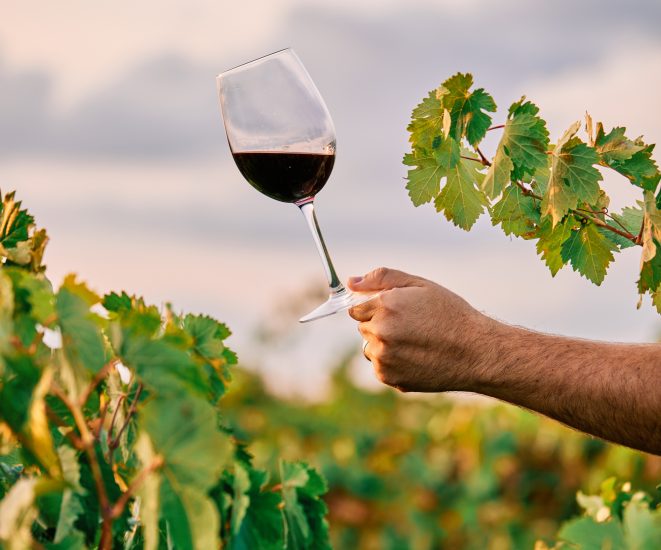 Sostenibilità: etica, paura e qualità i driver. Il vino l’esempio